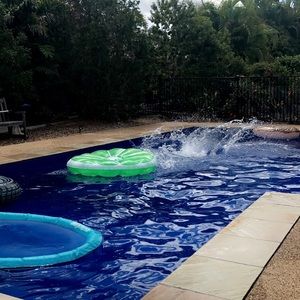 Meet your Posher, Ava